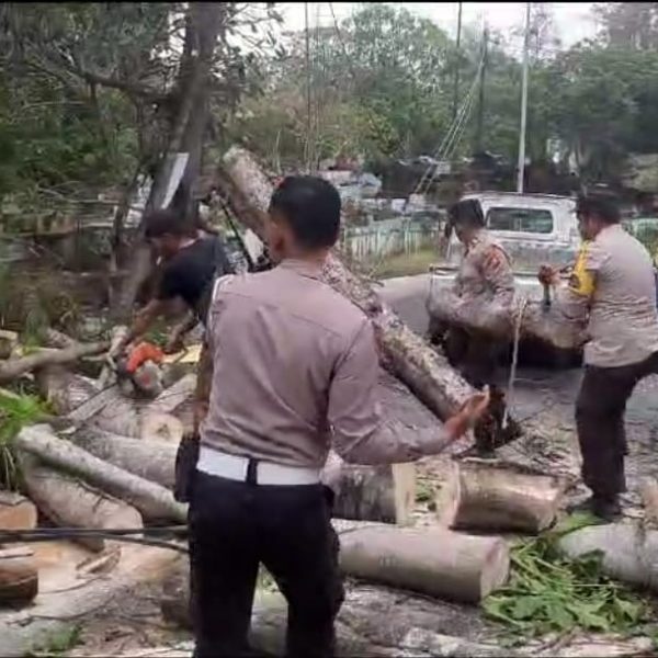 Hujan Angin, Pohon Kedondong Lanang di Simpang Taman Berkas Roboh