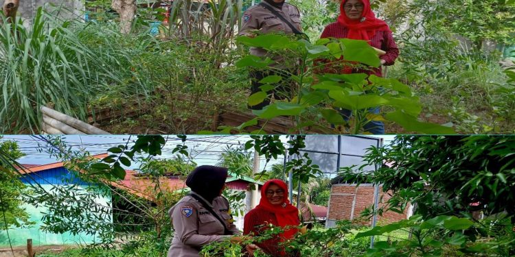 Bhabinkamtibmas Polsek Ratu Agung Baru Dorong Pemanfaatan Lahan untuk Tanaman Produktif