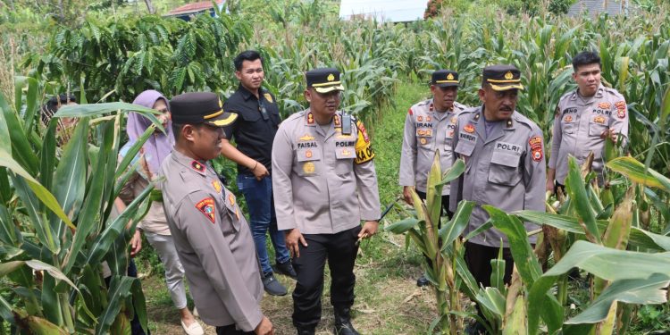 Polres Kepahiang laksanakan monitoring perkembangan penanaman jagung sebagai bentuk dukungan program Asta Cita Presiden RI