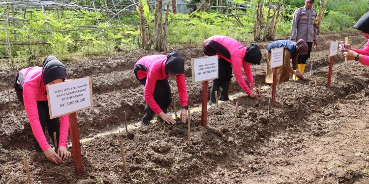 Dukung Swasembada Pangan, Bhayangkari Cabang Kota Bengkulu Tanam 100 Bibit Sayur