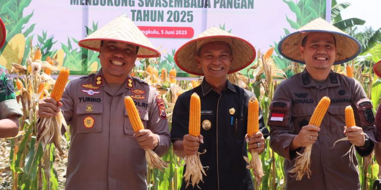 Polres Kaur Gelar Panen Raya Serentak Kuartal II, Dukung Swasembada Pangan 2025